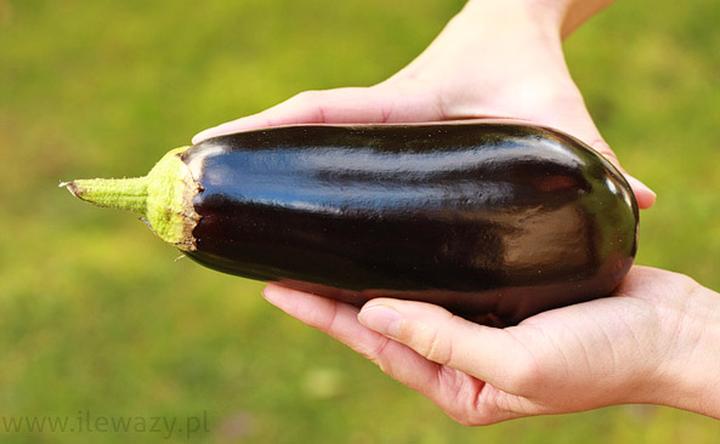 Bakłażan zamiast śledzi