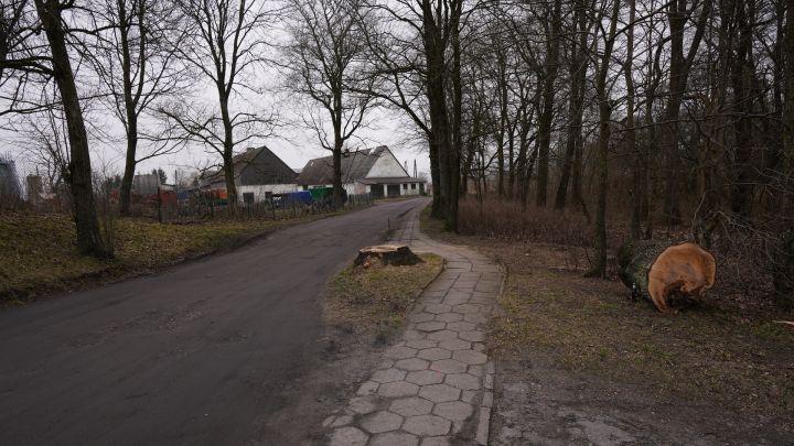 Składniki do chleba