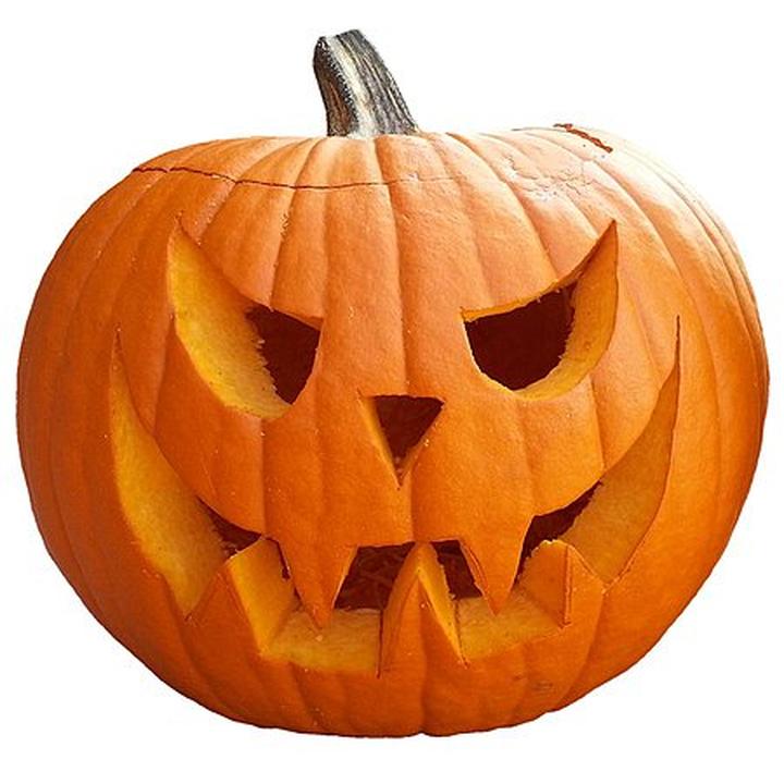 Jesienne przepisy kulinarne