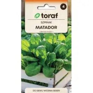 Mrożenie sałatek z majonezem: Jak zachować smak i jakość? Praktyczne porady