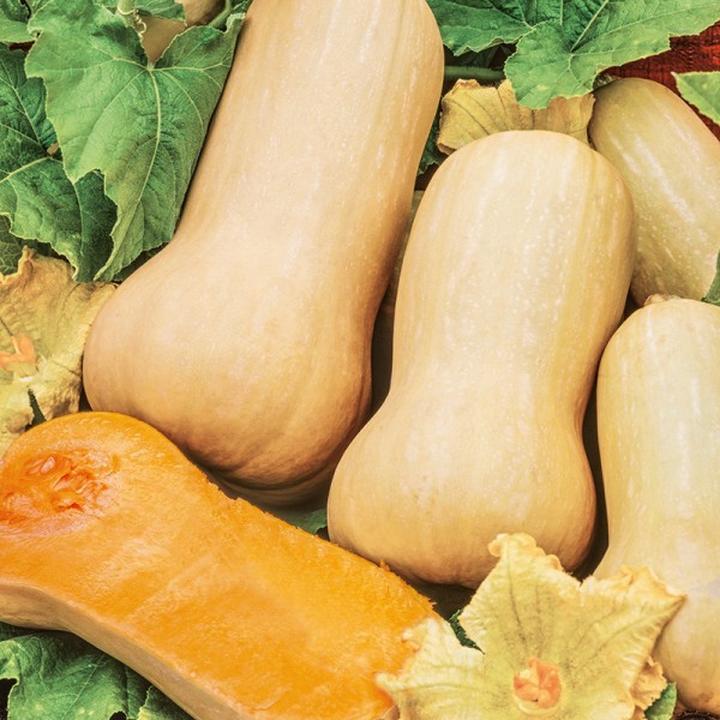 Rozgrzewająca zupa z dyni – prosty przepis na smakowitą jesień